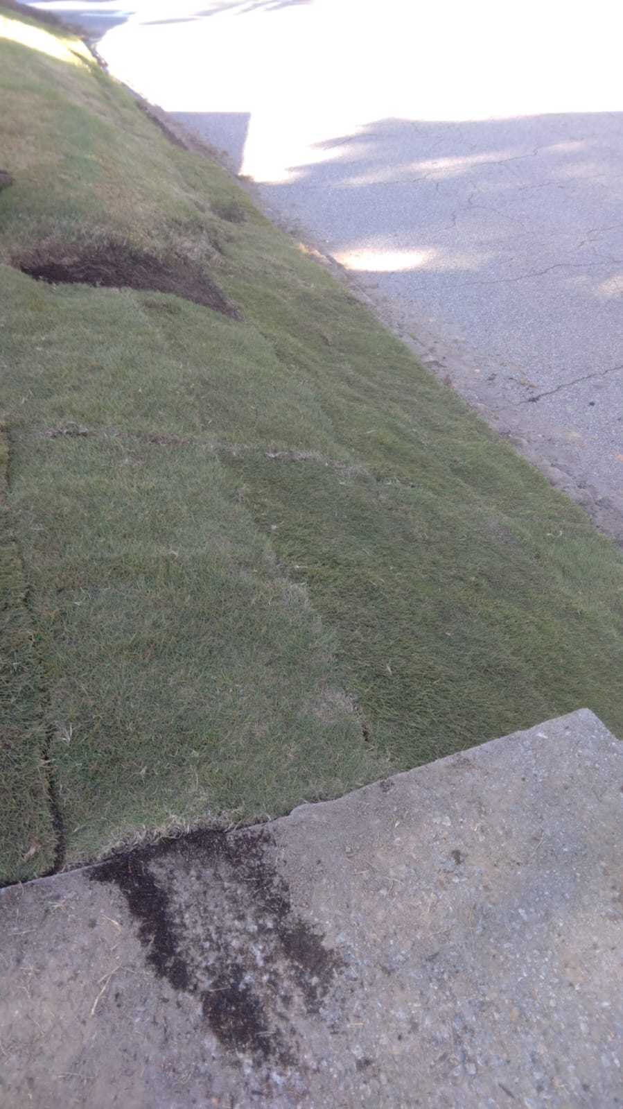 WhatsApp Image 2025-08-28 at 1.17.52 PM