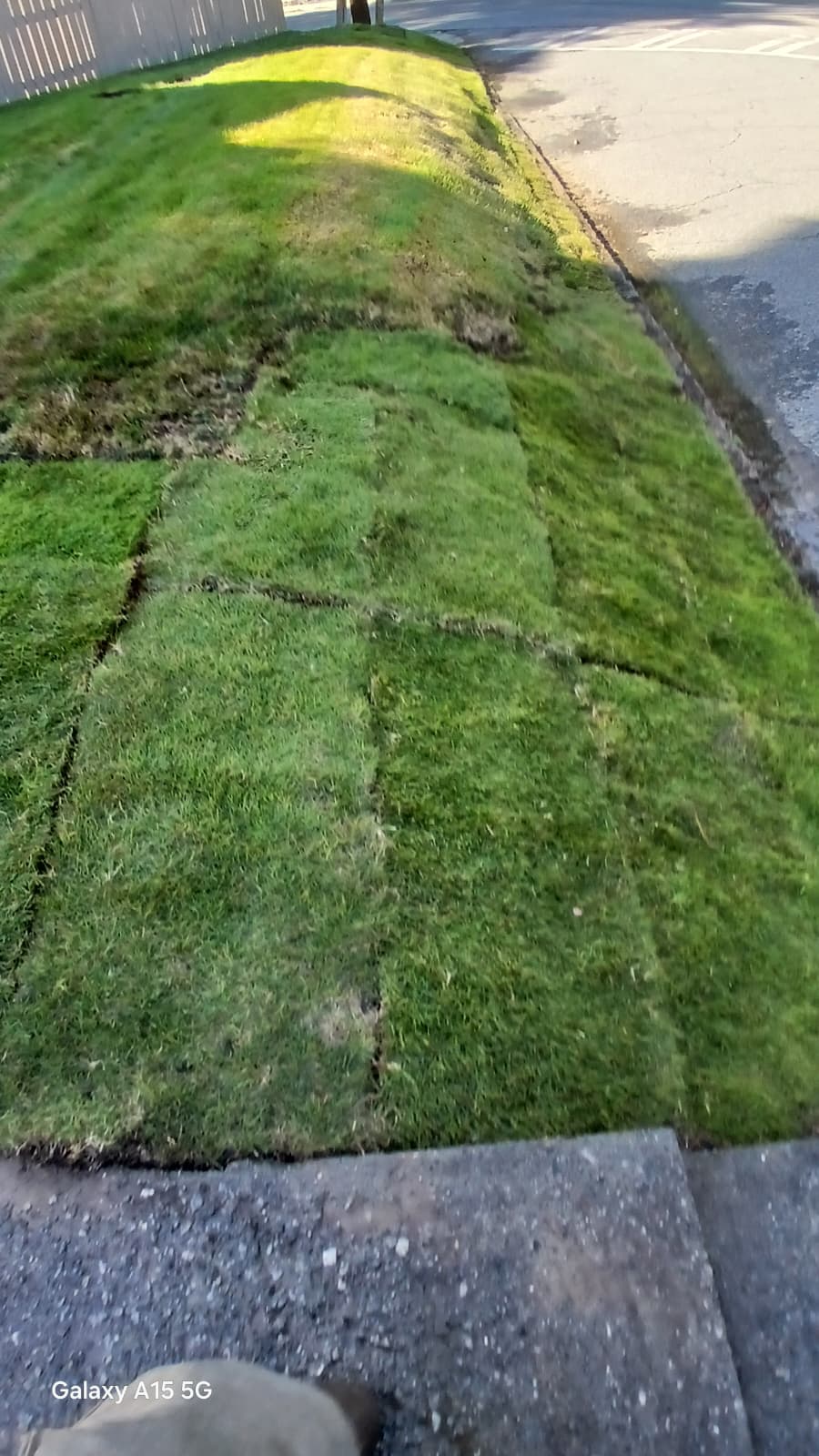 WhatsApp Image 2025-08-28 at 1.17.53 PM