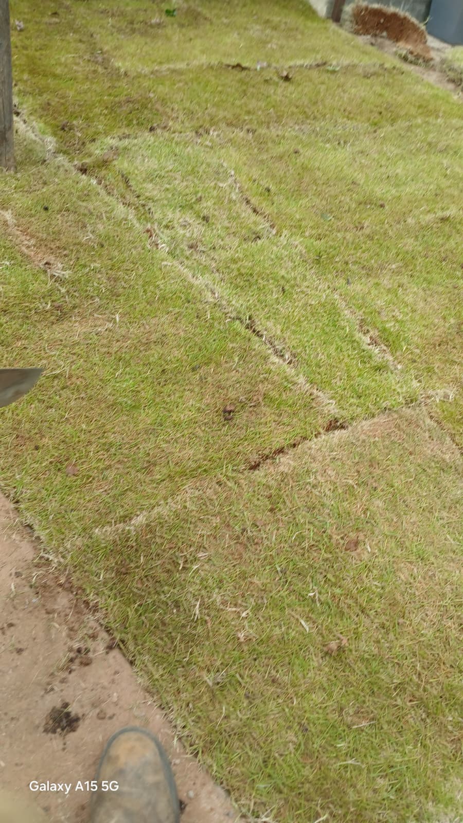 WhatsApp Image 2025-08-28 at 1.17.54 PM (1)