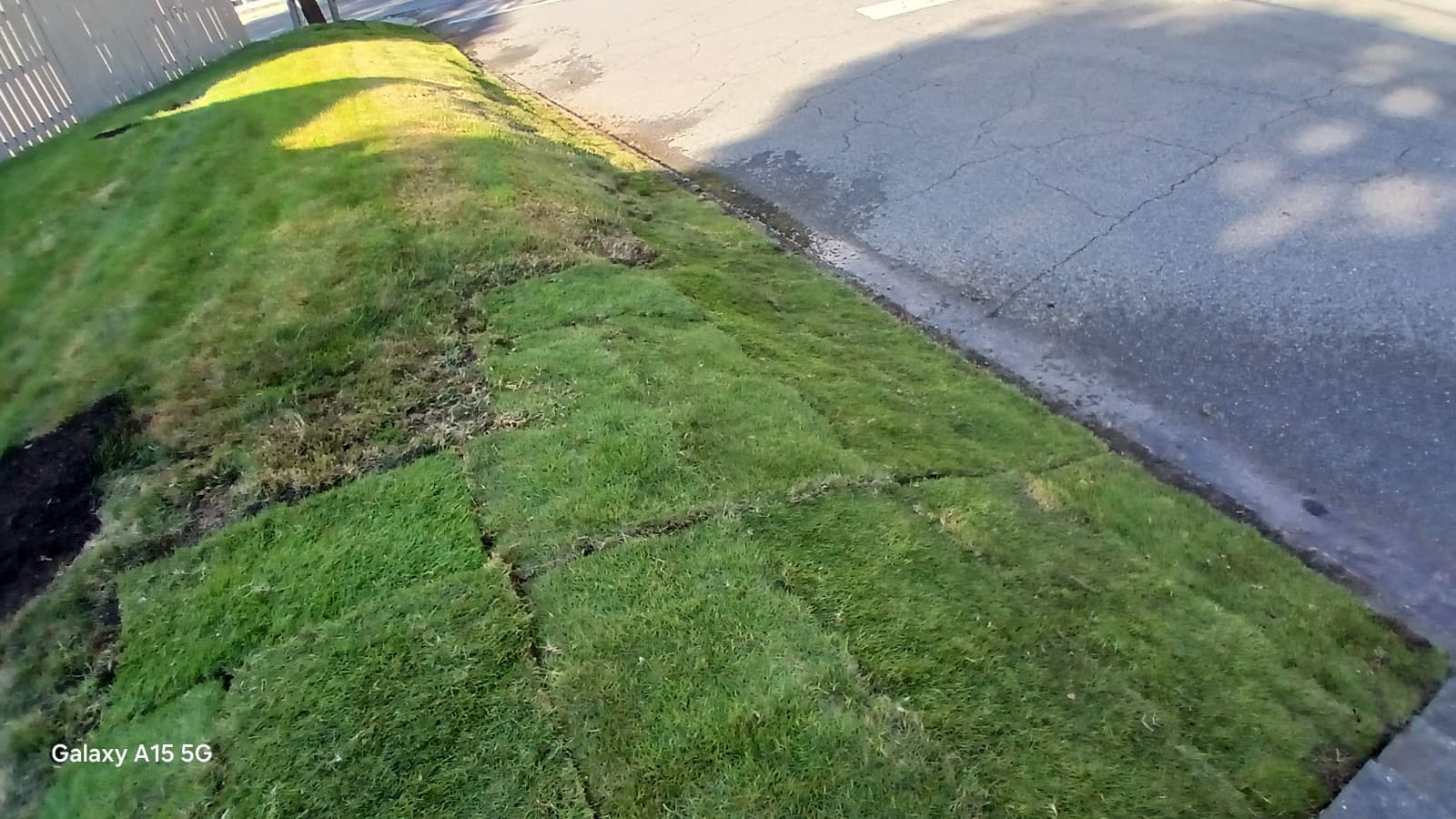 WhatsApp Image 2025-08-28 at 1.17.54 PM (2)