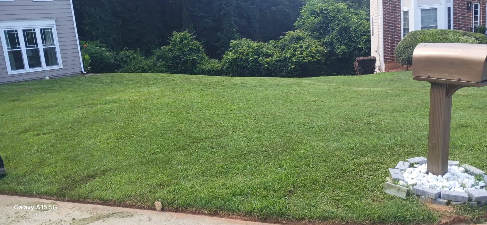 WhatsApp Image 2025-08-28 at 1.17.54 PM