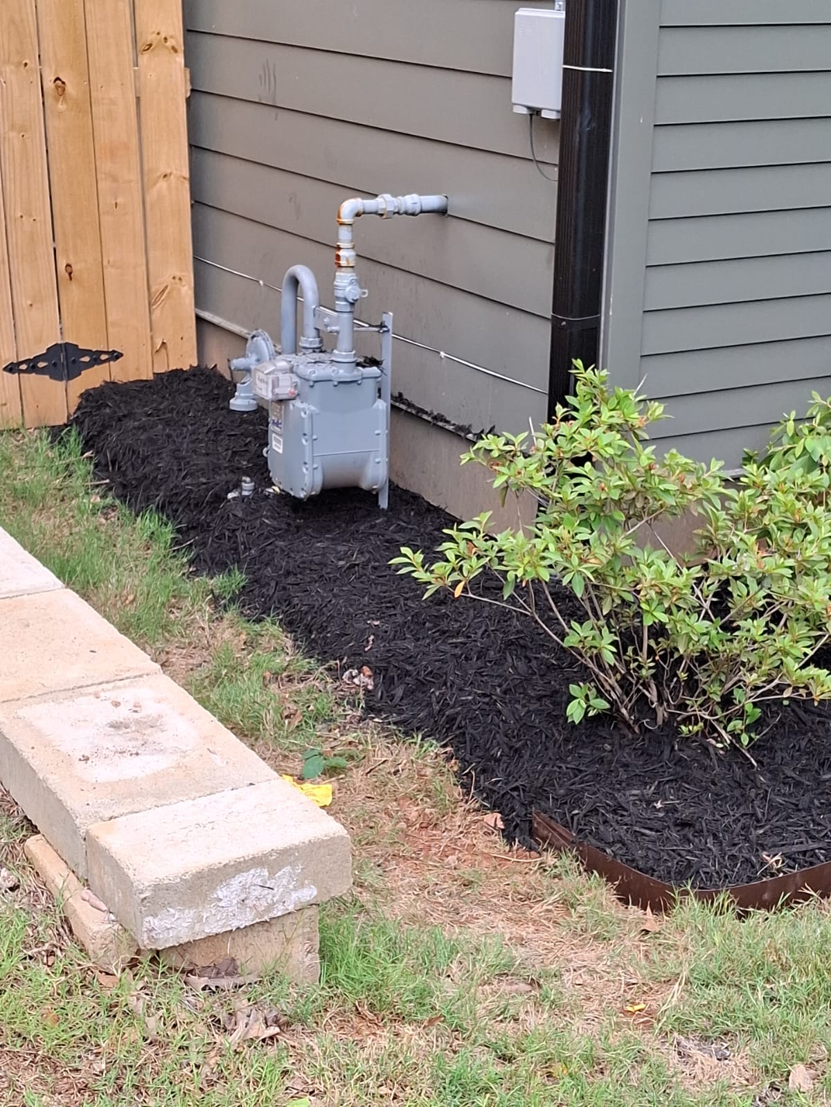 WhatsApp Image 2025-08-28 at 2.38.05 PM (2)