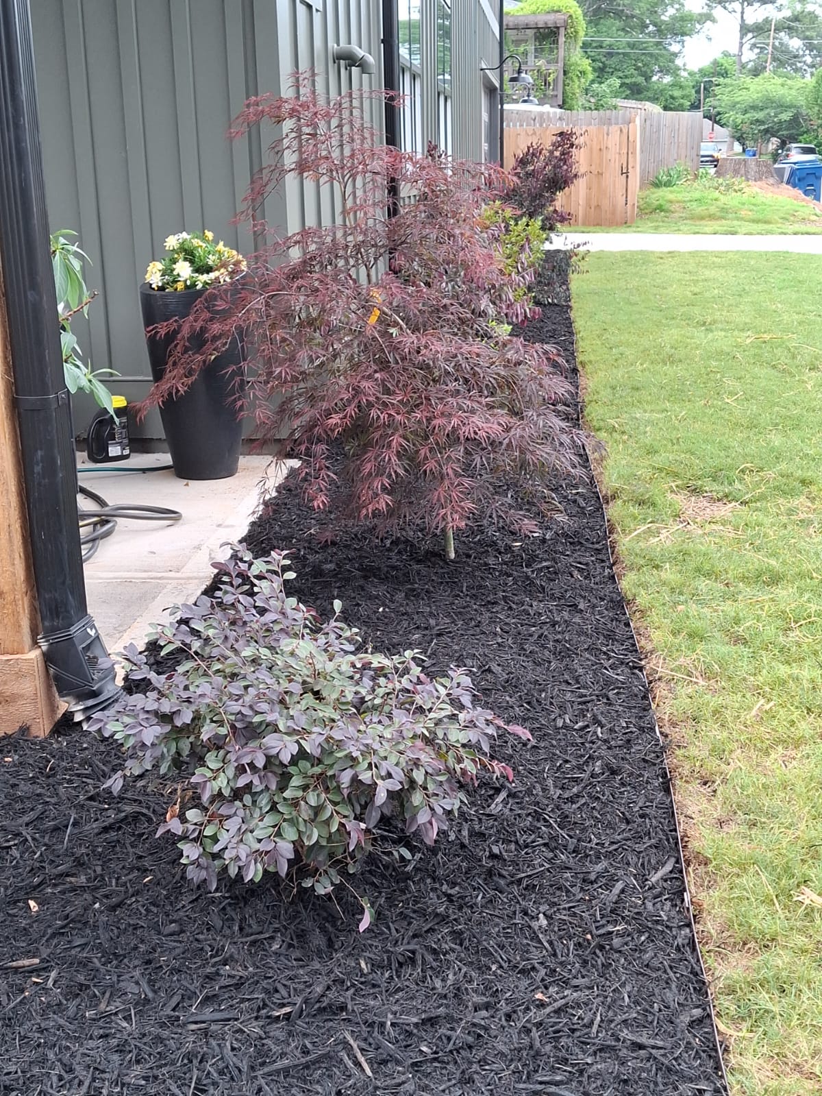 WhatsApp Image 2025-08-28 at 2.38.05 PM