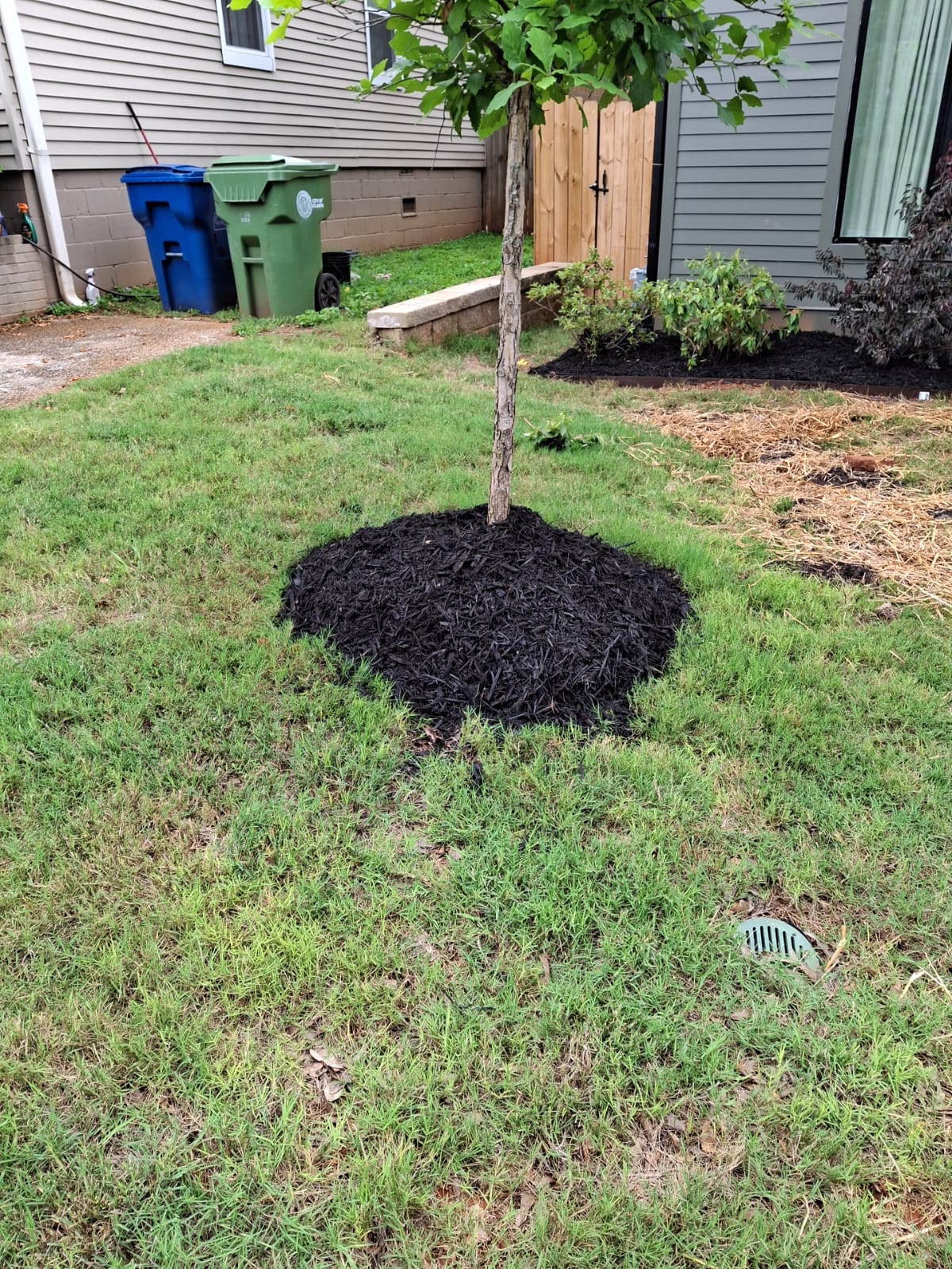 WhatsApp Image 2025-08-28 at 2.38.18 PM (1)