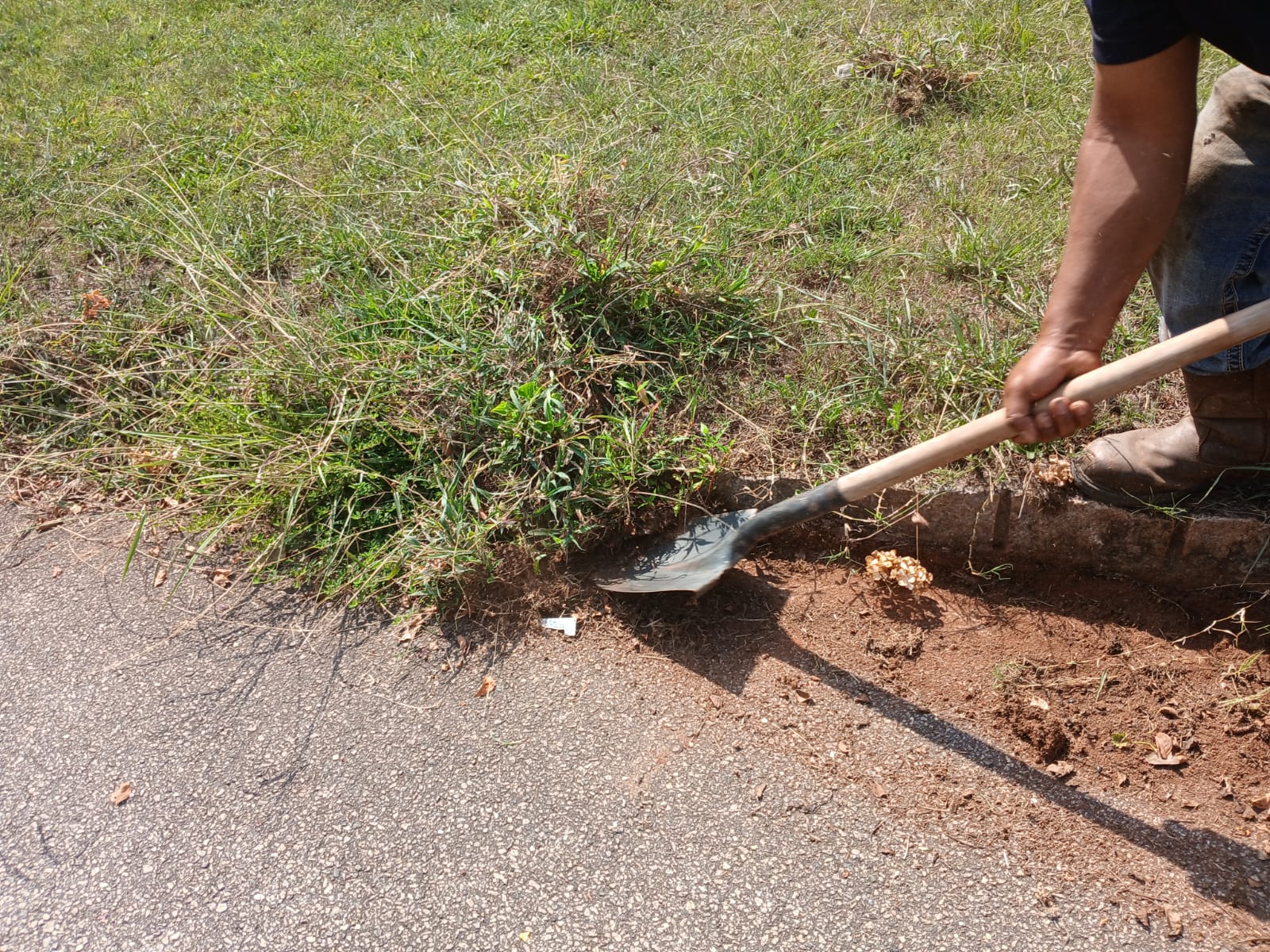 WhatsApp Image 2025-08-28 at 2.52.46 PM (1)