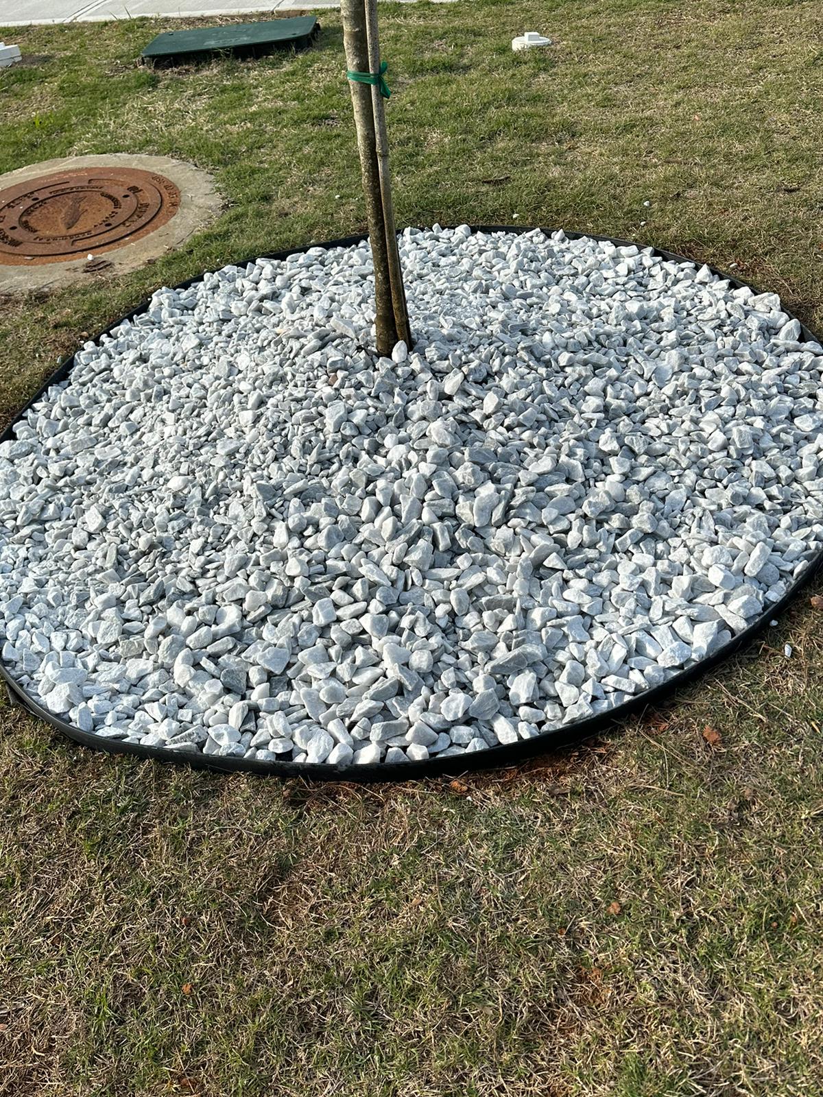 WhatsApp Image 2025-08-28 at 2.52.47 PM (1)