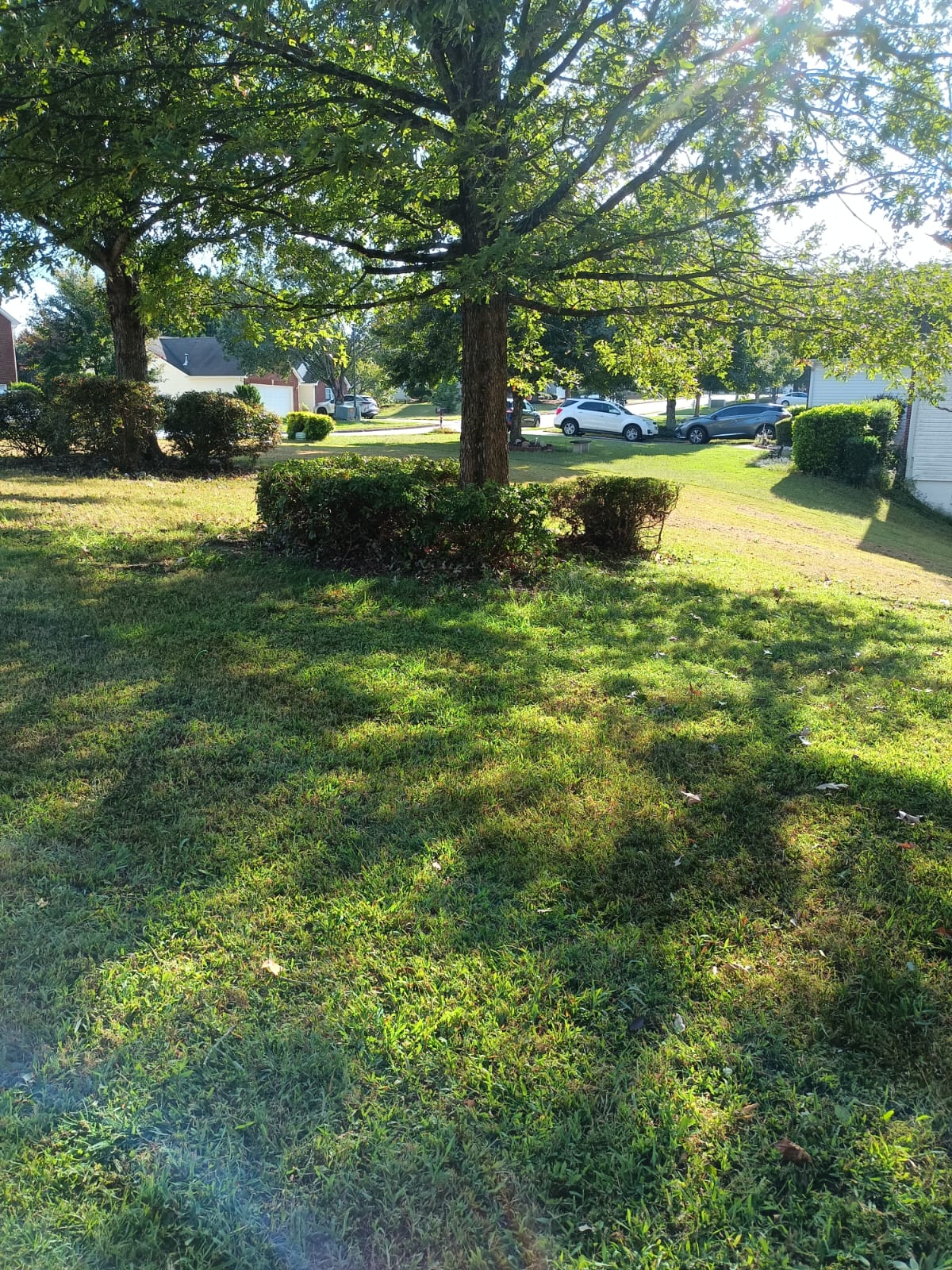 WhatsApp Image 2025-08-28 at 2.52.47 PM (3)