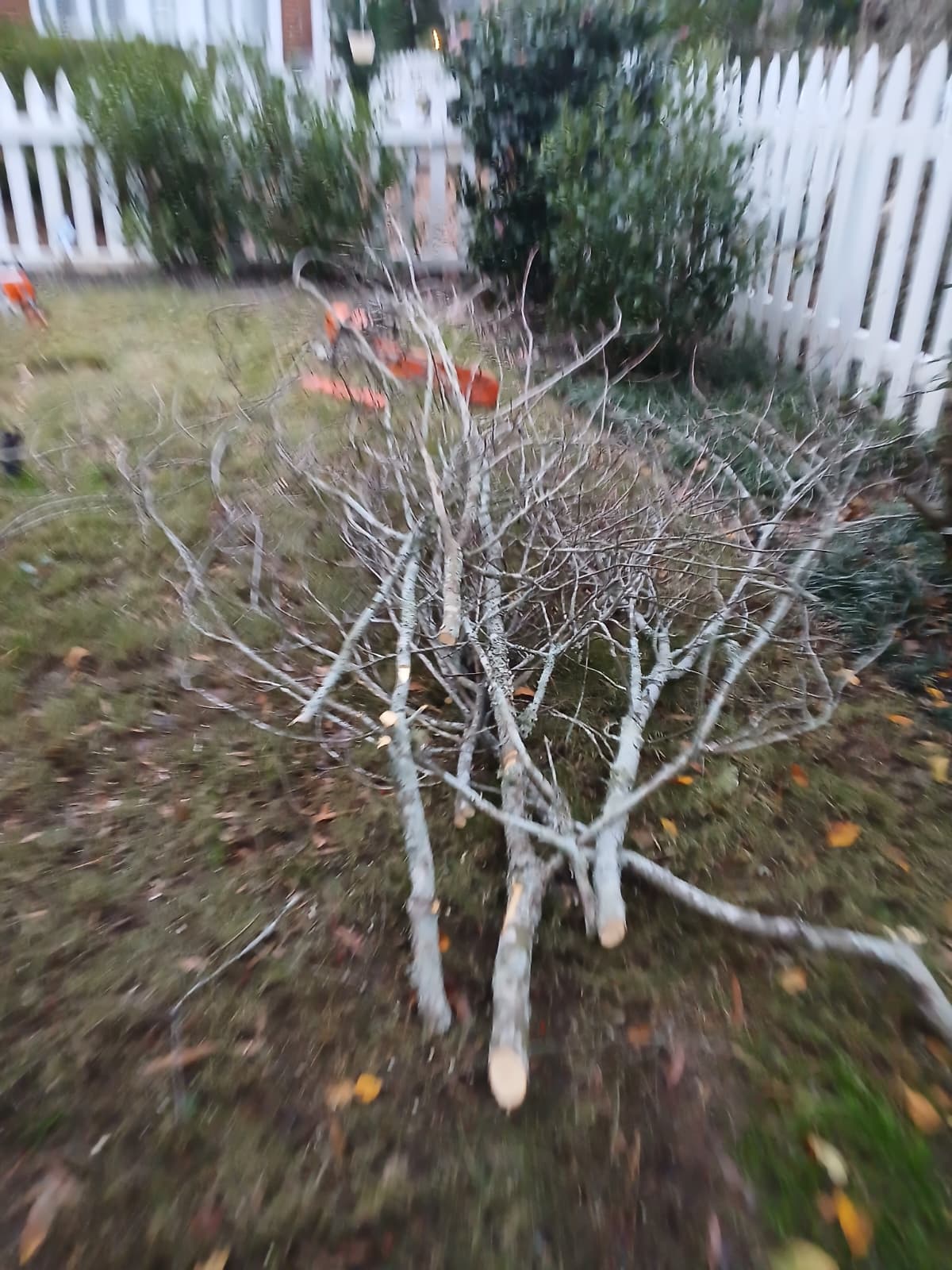 WhatsApp Image 2025-08-28 at 2.52.48 PM (1)