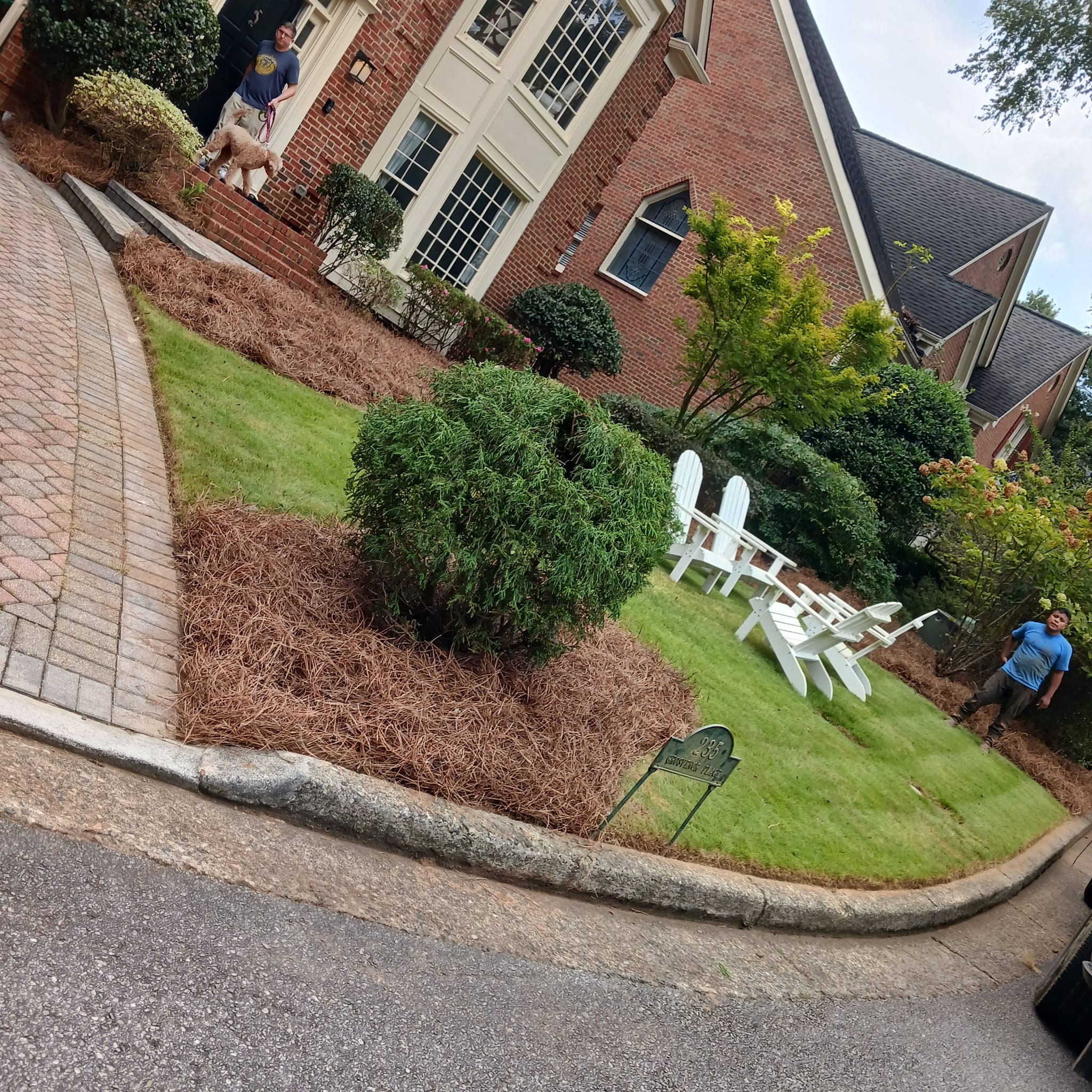 WhatsApp Image 2025-08-28 at 2.52.49 PM (1)